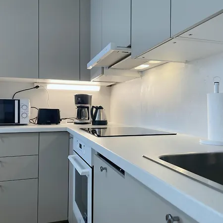 1br - Private Sauna & Balcony - Extra Single Bed אספו